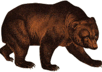 Bear Flamingo Sticker by Binske