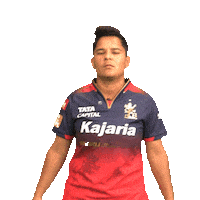 Happy Dance Sticker by Royal Challengers Bengaluru