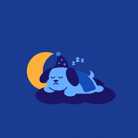 Snoozing Good Night GIF by Jessica Lau