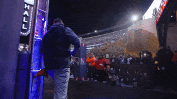 Mike Vrabel Football GIF by New England Patriots