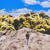 Art Gallery Clouds GIF