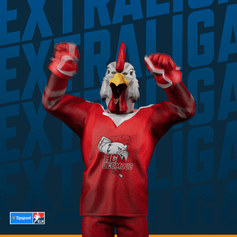 Hockey Hokej GIF by Tipsport extraliga