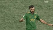 portland timbers football GIF by Timbers