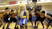 UCSanDiego triton ucsd uc san diego triton pride GIF