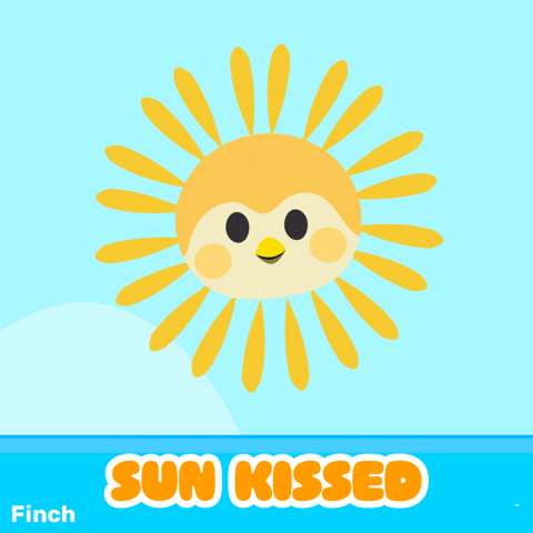 Happy Summer GIF by Finch Care