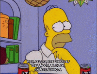 homer simpson episode 24 GIF