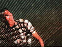 MFDtheArtist trippy weird magic houston GIF