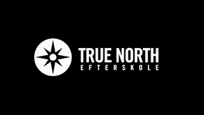 TrueNorthEfterskole logo true north kompas GIF