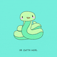 Leaving St Patrick GIF