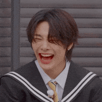 Stray Kids Skz GIF