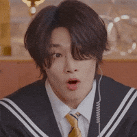 Stray Kids Skz GIF