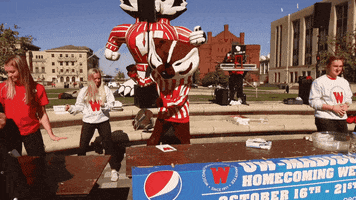 Wisconsin Badgers GIF by uwmadison