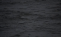 waves GIF by Justin