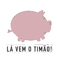 Corinthians Torcida Brasileira Sticker