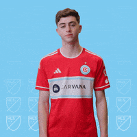 Chicago Fire No GIF by Major League Soccer
