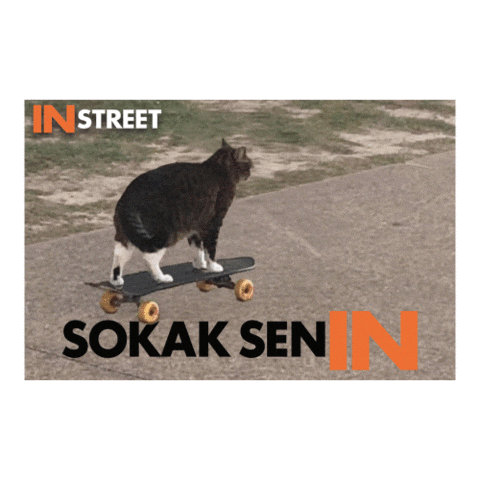 InStreet giphyupload sokak instreet sokaksenin Sticker