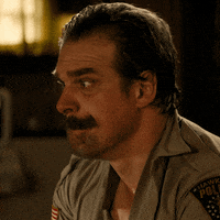 netflix GIF by Stranger Things