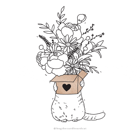 bugthecardboardcat love cat flower gift GIF