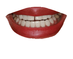 asnantower smile teeth dentist asnan Sticker