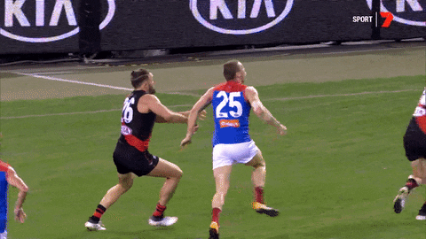funny GIF by Essendon FC