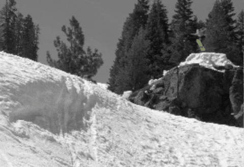 Denverorr GIF by Forum Snow