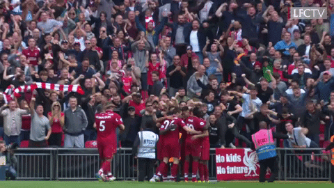 football celebrate GIF by Liverpool FC