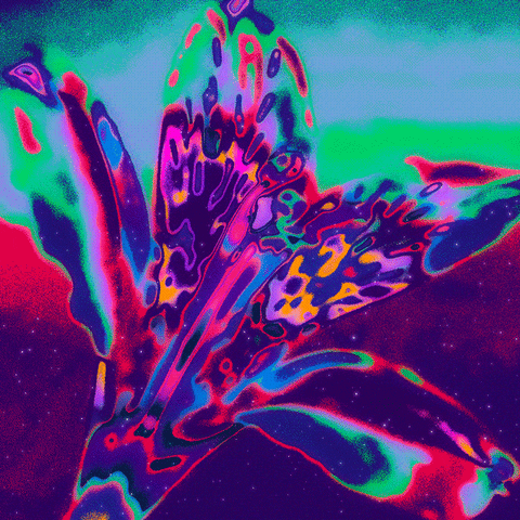 Loop Rainbow GIF by Toke