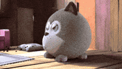 Angry Pets GIF by HangryPetz