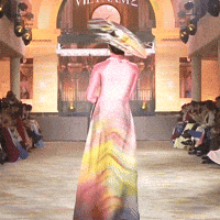 Peru Vietnam GIF