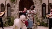 Pony GIF by DaBaby