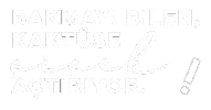 Mery38 Sticker