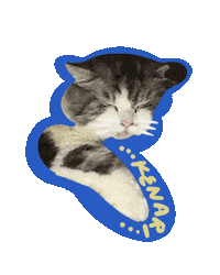 Cat Meow Sticker