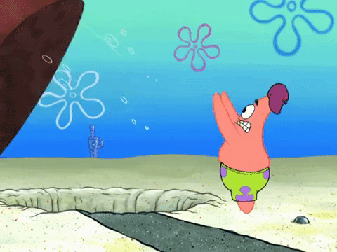 season 8 episode 6 GIF by SpongeBob SquarePants