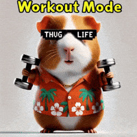 Fitness Workout GIF by Guinea Gambino
