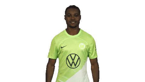 Vfl Wolfsburg Love Sticker by Bundesliga