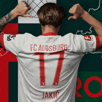 Football Bundesliga GIF by FC Augsburg 1907