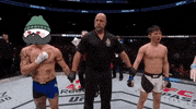 Lets Go Ufc GIF by Kanpai Pandas