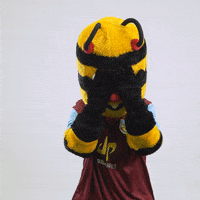 Premier League No GIF by Burnley Football Club