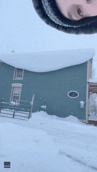 'Are You Kidding Me?': Cartoonish Scene Shows Man's Shovels Getting Stuck on Snow-Covered Roof