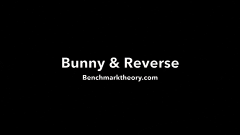 bunny bmt- GIF by benchmarktheory