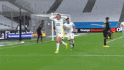 Celebration Goal GIF by Olympique de Marseille
