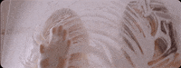 soft hair band GIF by Domino Recording Co.