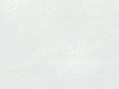 season 8 frozen face-off GIF by SpongeBob SquarePants
