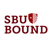 Goseawolves Sticker by Stony Brook University