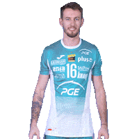 Look Swipe Sticker by PGE Skra Bełchatów