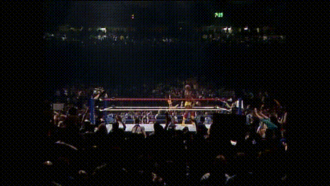 Integralist giphyupload wwf wrestlemania 3 GIF