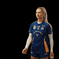 All-Ireland Camogie GIF by AIB