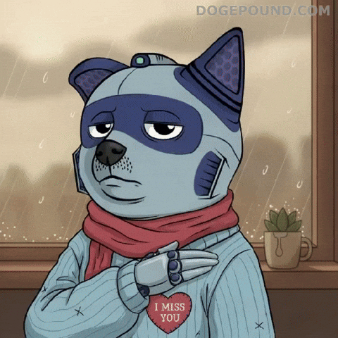 Sad Miss You GIF by Doge Pound