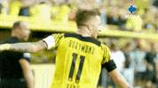 Marco Reus Reaction GIF by MolaTV