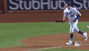Celebrate Ny Mets GIF by New York Mets